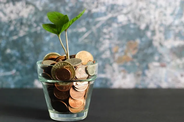 A seedling emerging from stack of coins
